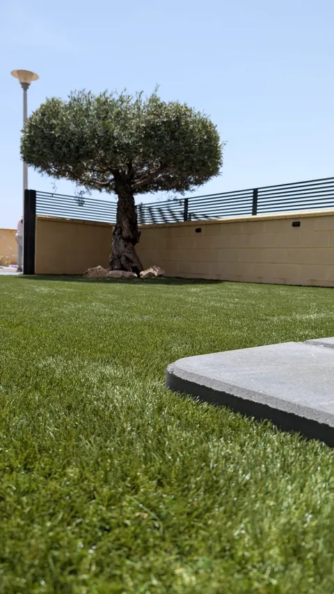 Jardín con olivo · Indalturf