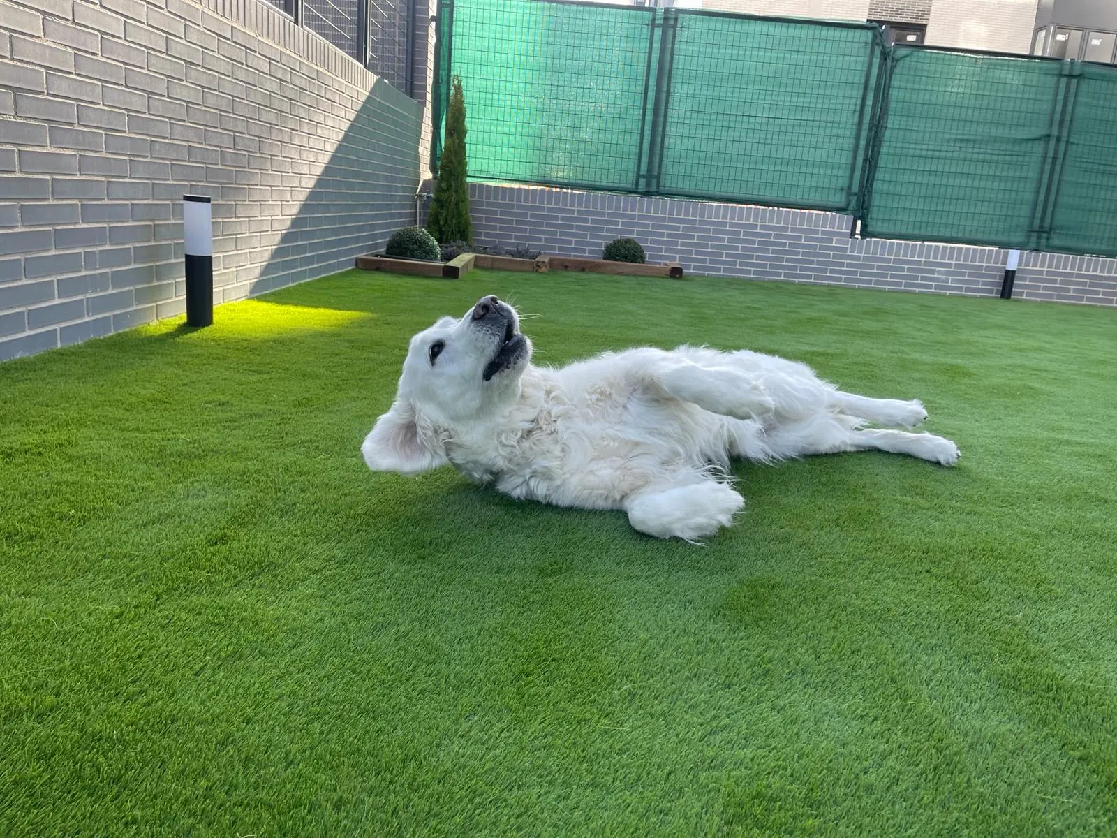 Artificial grass for dogs and pets in Almería and Granada